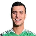 فاوزي الهيناوي