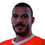 شكري نجيب