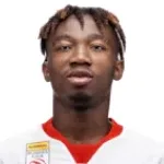 نيني دورجيليس