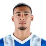 كارلوس ناهويل بينافيديز بروتيسوني